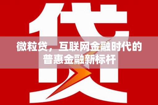 浔阳微粒贷，互联网金融时代的普惠金融新标杆