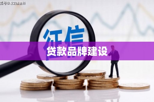 浔阳贷款品牌建设