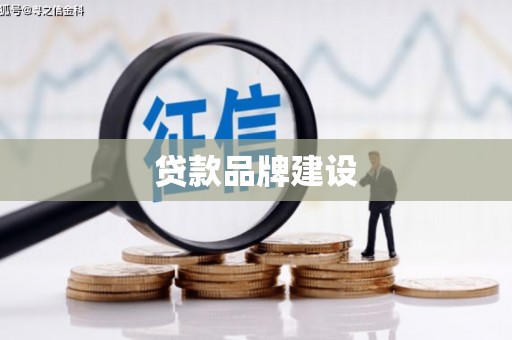 浔阳贷款品牌建设
