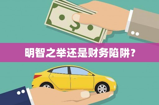 浔阳明智之举还是财务陷阱？