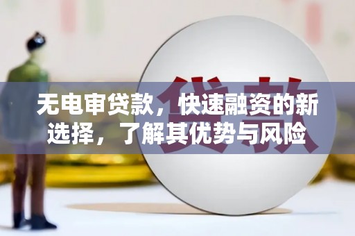 浔阳无电审贷款，快速融资的新选择，了解其优势与风险