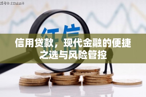 浔阳信用贷款，现代金融的便捷之选与风险管控