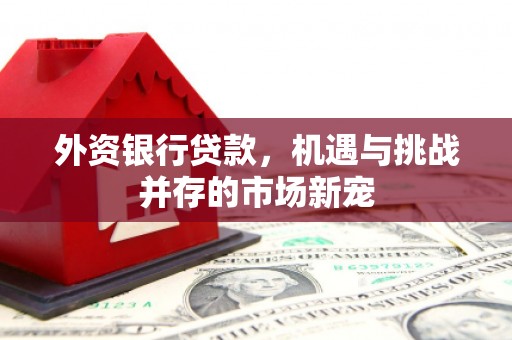 浔阳外资银行贷款，机遇与挑战并存的市场新宠