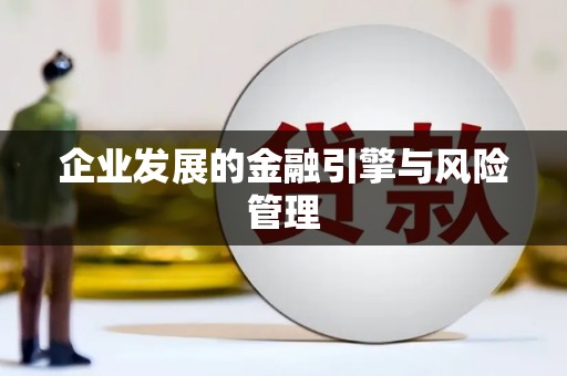 浔阳企业发展的金融引擎与风险管理