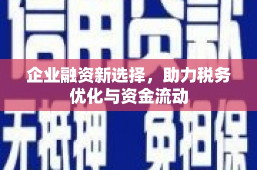 浔阳企业融资新选择，助力税务优化与资金流动