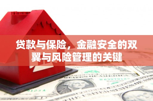 浔阳贷款与保险，金融安全的双翼与风险管理的关键