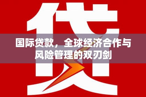 浔阳国际贷款，全球经济合作与风险管理的双刃剑