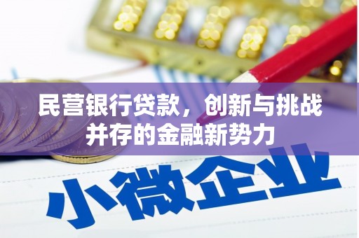 浔阳民营银行贷款，创新与挑战并存的金融新势力