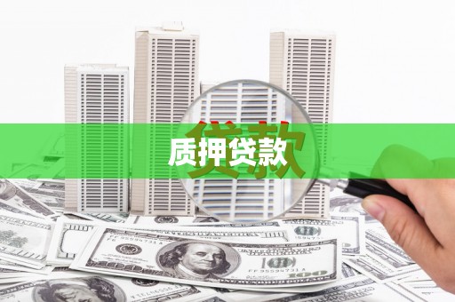 浔阳质押贷款