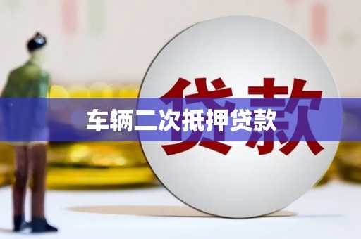 浔阳车辆二次抵押贷款