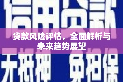 浔阳贷款风险评估，全面解析与未来趋势展望