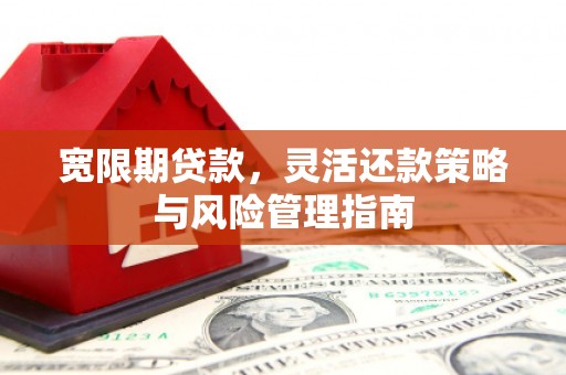 浔阳宽限期贷款，灵活还款策略与风险管理指南