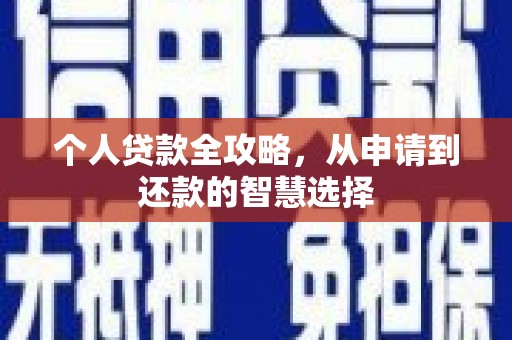 浔阳个人贷款全攻略，从申请到还款的智慧选择