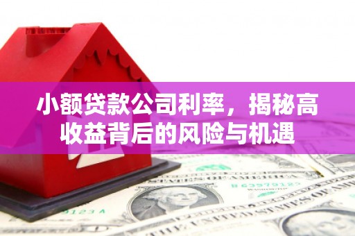 浔阳小额贷款公司利率，揭秘高收益背后的风险与机遇