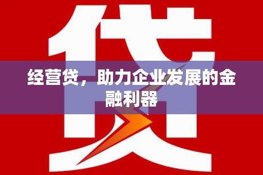 浔阳经营贷，助力企业发展的金融利器