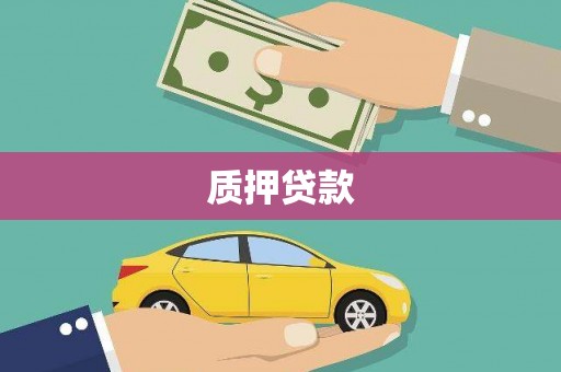 浔阳质押贷款