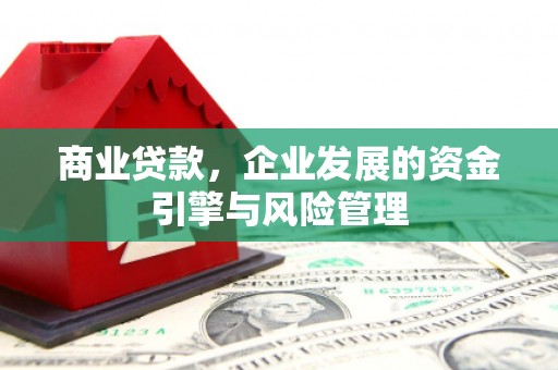 浔阳商业贷款，企业发展的资金引擎与风险管理