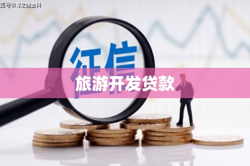 浔阳旅游开发贷款