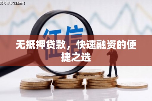 浔阳无抵押贷款，快速融资的便捷之选