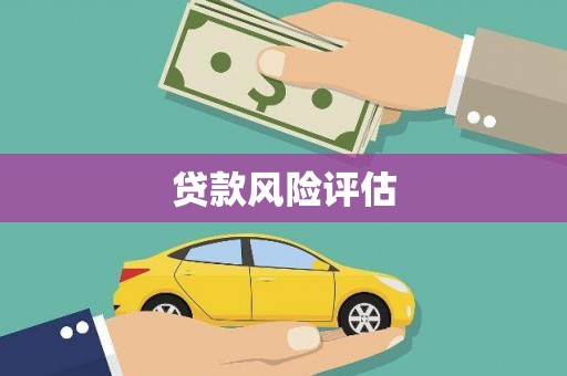 浔阳贷款风险评估