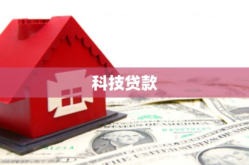 浔阳科技贷款