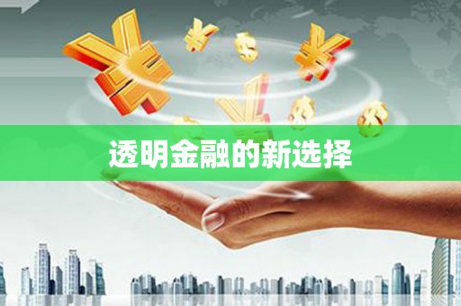 浔阳透明金融的新选择