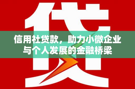 浔阳信用社贷款，助力小微企业与个人发展的金融桥梁