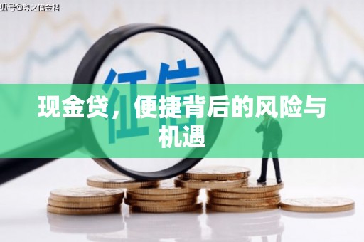 浔阳现金贷，便捷背后的风险与机遇