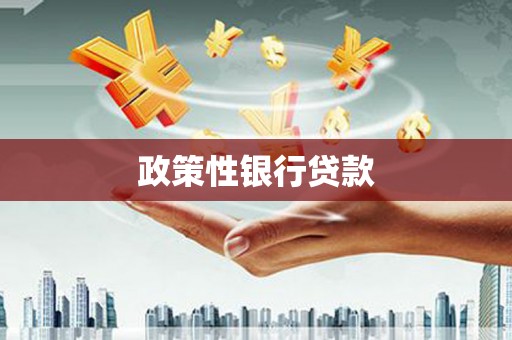 浔阳政策性银行贷款