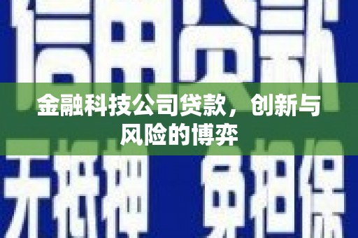 浔阳金融科技公司贷款，创新与风险的博弈