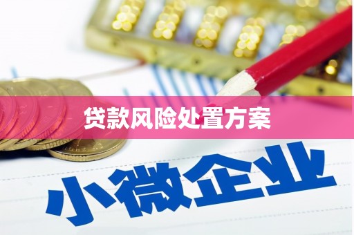 浔阳贷款风险处置方案
