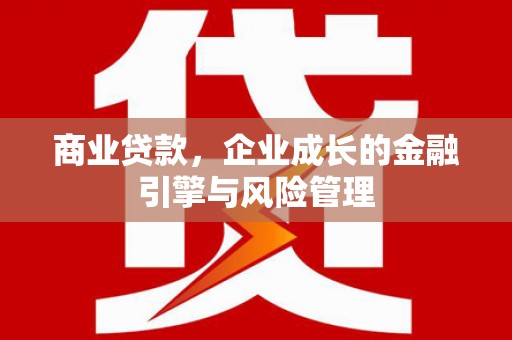 浔阳商业贷款，企业成长的金融引擎与风险管理