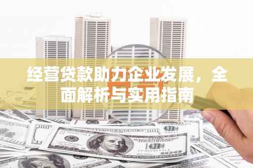 浔阳经营贷款助力企业发展，全面解析与实用指南