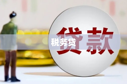 浔阳税务贷