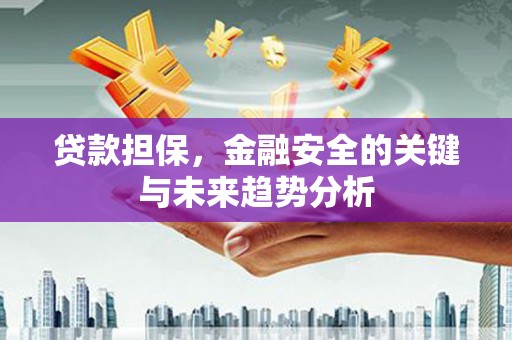 浔阳贷款担保，金融安全的关键与未来趋势分析