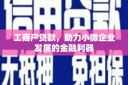 浔阳工商户贷款，助力小微企业发展的金融利器