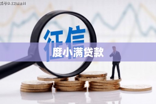 浔阳度小满贷款
