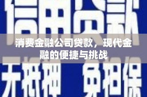 浔阳消费金融公司贷款，现代金融的便捷与挑战