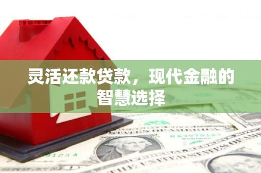 浔阳灵活还款贷款，现代金融的智慧选择
