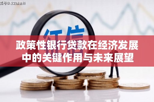 浔阳政策性银行贷款在经济发展中的关键作用与未来展望
