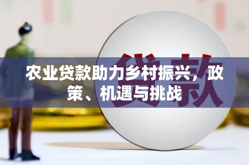 浔阳农业贷款助力乡村振兴，政策、机遇与挑战