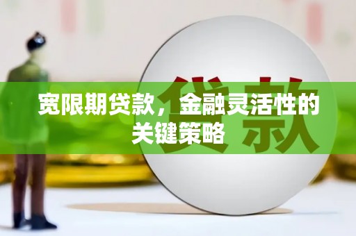 浔阳宽限期贷款，金融灵活性的关键策略