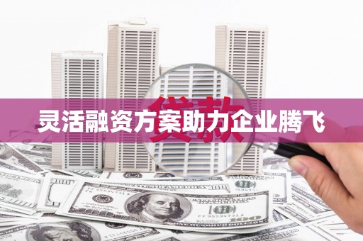 浔阳灵活融资方案助力企业腾飞