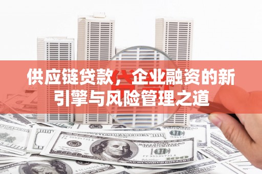 浔阳供应链贷款，企业融资的新引擎与风险管理之道