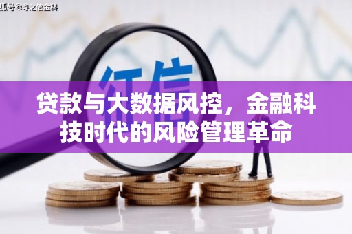 浔阳贷款与大数据风控，金融科技时代的风险管理革命