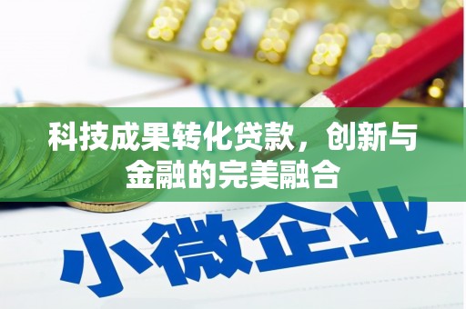 浔阳科技成果转化贷款，创新与金融的完美融合