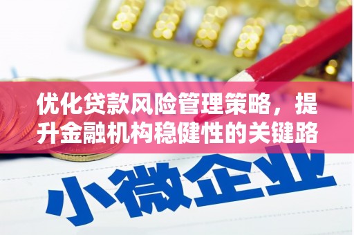 浔阳优化贷款风险管理策略，提升金融机构稳健性的关键路径