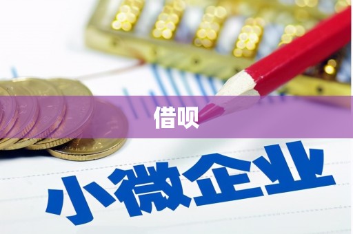 浔阳借呗