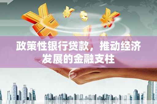 浔阳政策性银行贷款，推动经济发展的金融支柱