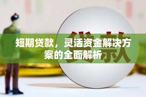 浔阳短期贷款，灵活资金解决方案的全面解析